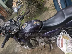 Bajaj Pulsar 150 2003 Purple