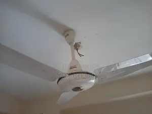 Ceiling Fan