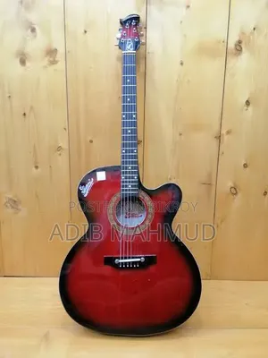 Signature Guitar