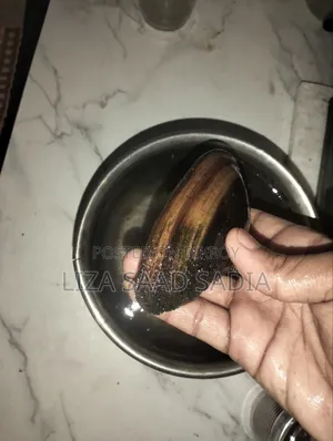 Live ঝিনুক