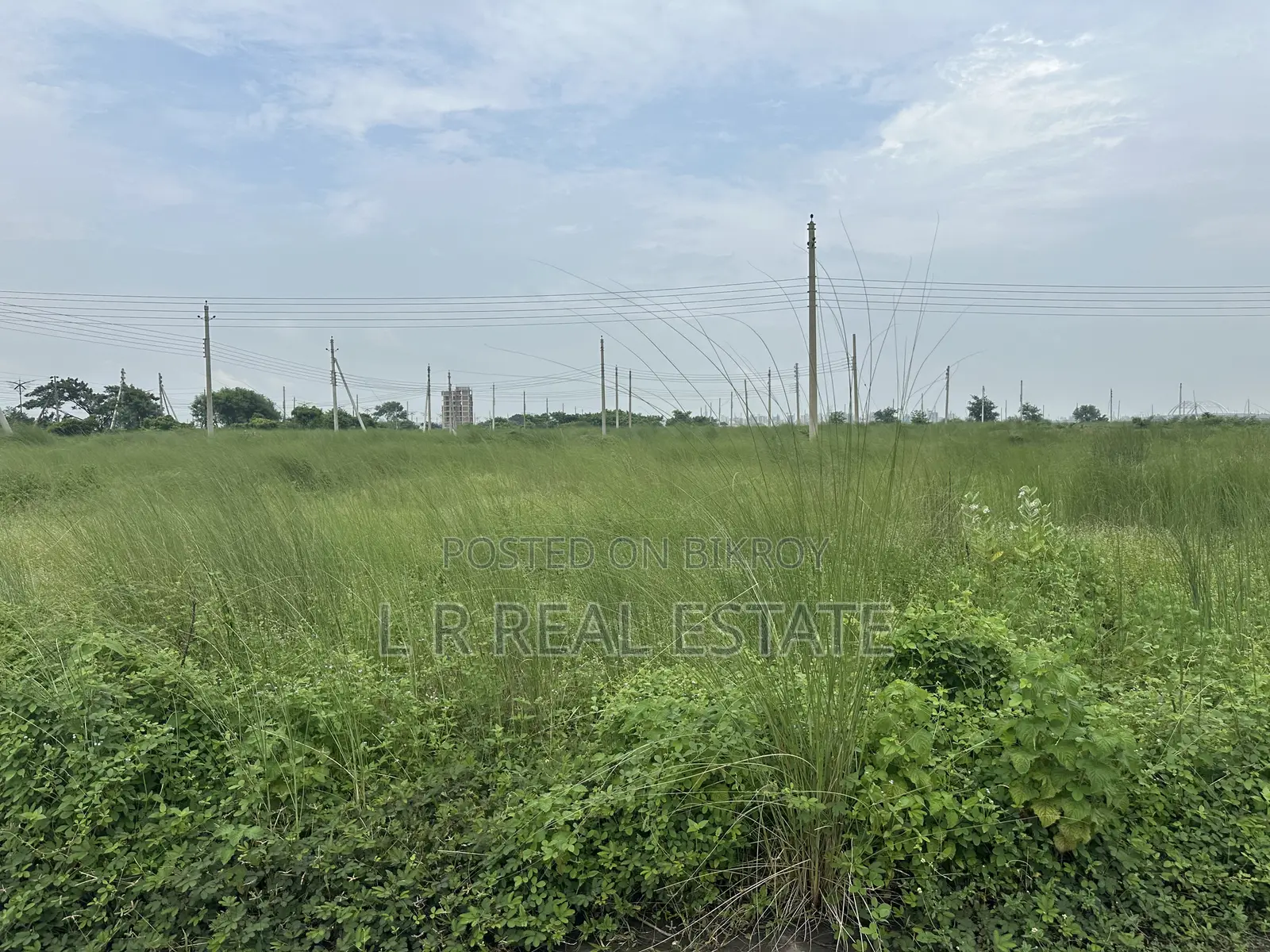 এন-ব্লক, ৩ কাঠা, পূর্বমুখী, বাজার প্রতিদিনের কাছে, বসুন্ধরা