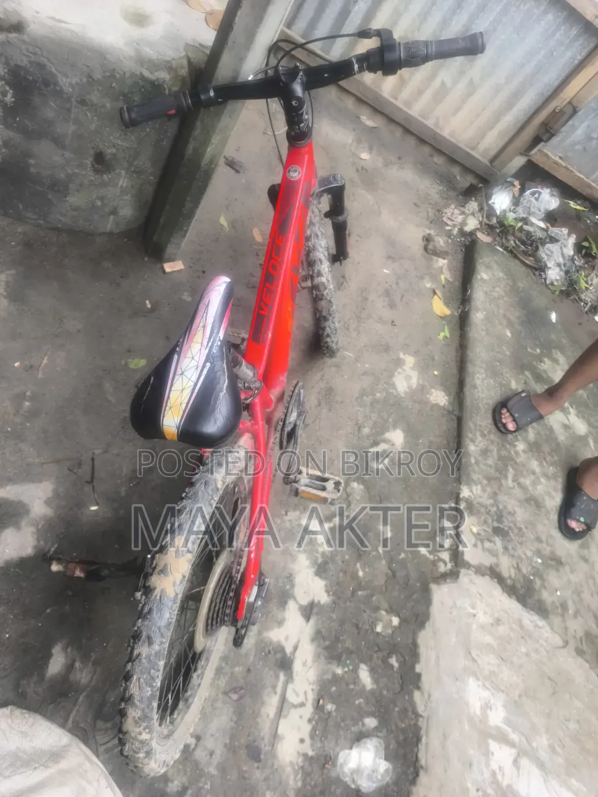 ১০-১৩ বছর বয়সী শিশুদের জন্য সেরা সাইকেল ভেলোচে জুনিয়র অ্যালুমিনিয়াম বডি