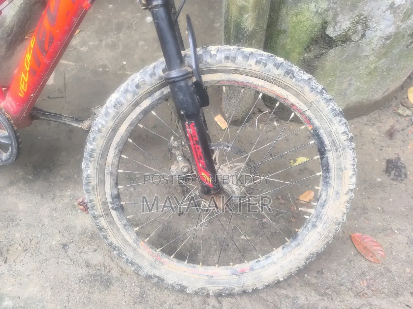 ১০-১৩ বছর বয়সী শিশুদের জন্য সেরা সাইকেল ভেলোচে জুনিয়র অ্যালুমিনিয়াম বডি