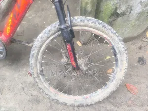 ১০-১৩ বছর বয়সী শিশুদের জন্য সেরা সাইকেল ভেলোচে জুনিয়র অ্যালুমিনিয়াম বডি
