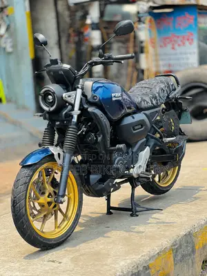 Suzuki 2025 Blue