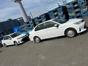 Toyota Axio 2021 White