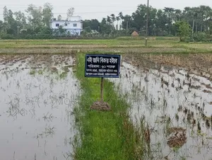 61 decimal land for sale by the roadside