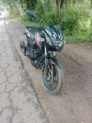 Bajaj Pulsar 150 2023 Black