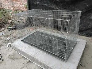 পাখির খাঁচা অর্ডার নেওয়া হয়