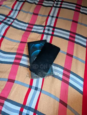 Apple iPhone 12 Pro Max 256 GB Blue