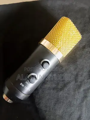 Studio Microphone