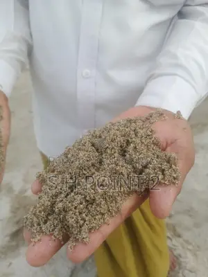 Panchagarh Sand 03 & 04 Point Sand 15500 Taka per Truck