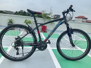 ভেলোচে লিজিয়ন ৪০ এমটিবি ২৬" ২১ স্পিড শিম্যানো - চমৎকার কন্ডিশন