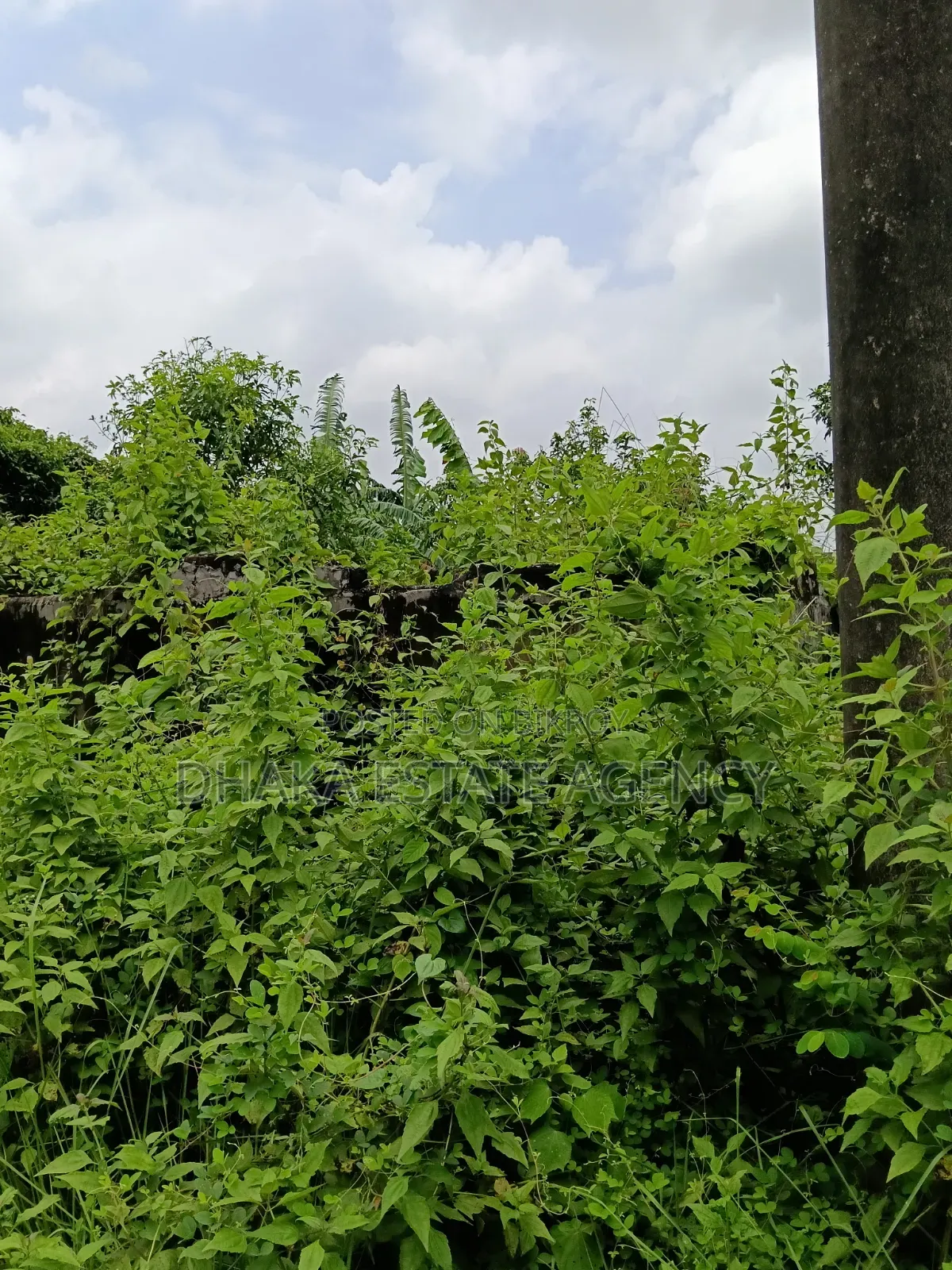খুব জরুরি সেক্টর ১৭কে, ৩ কাঠা প্লট বিক্রি