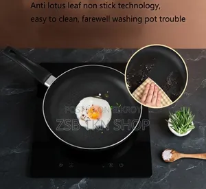 WJS Frying Pan