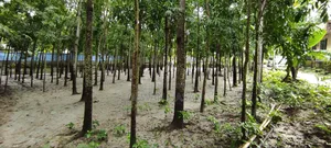 10 Decimal Land for Sale