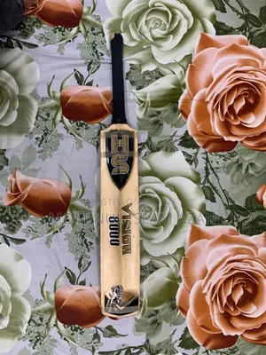 Hs Vision 8000 Cricket Bat