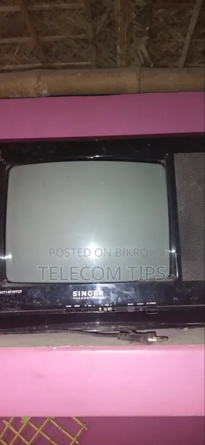 14" Singer TV