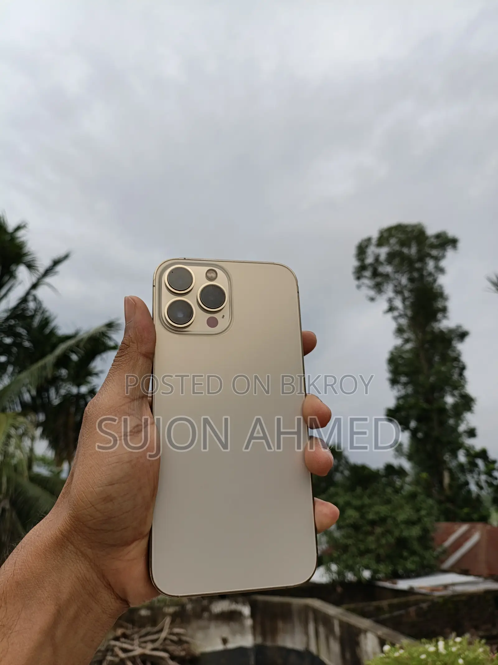 অ্যাপল আইফোন ১৩ প্রো ম্যাক্স ২৫৬ জিবি রোজ গোল্ড