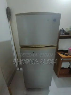 Singer Fridge