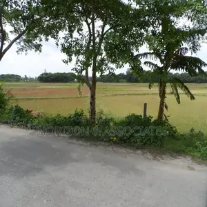 ২৭৫ শতাংশ জমি বিক্রয় নোয়াখালী মাইজদী রোড