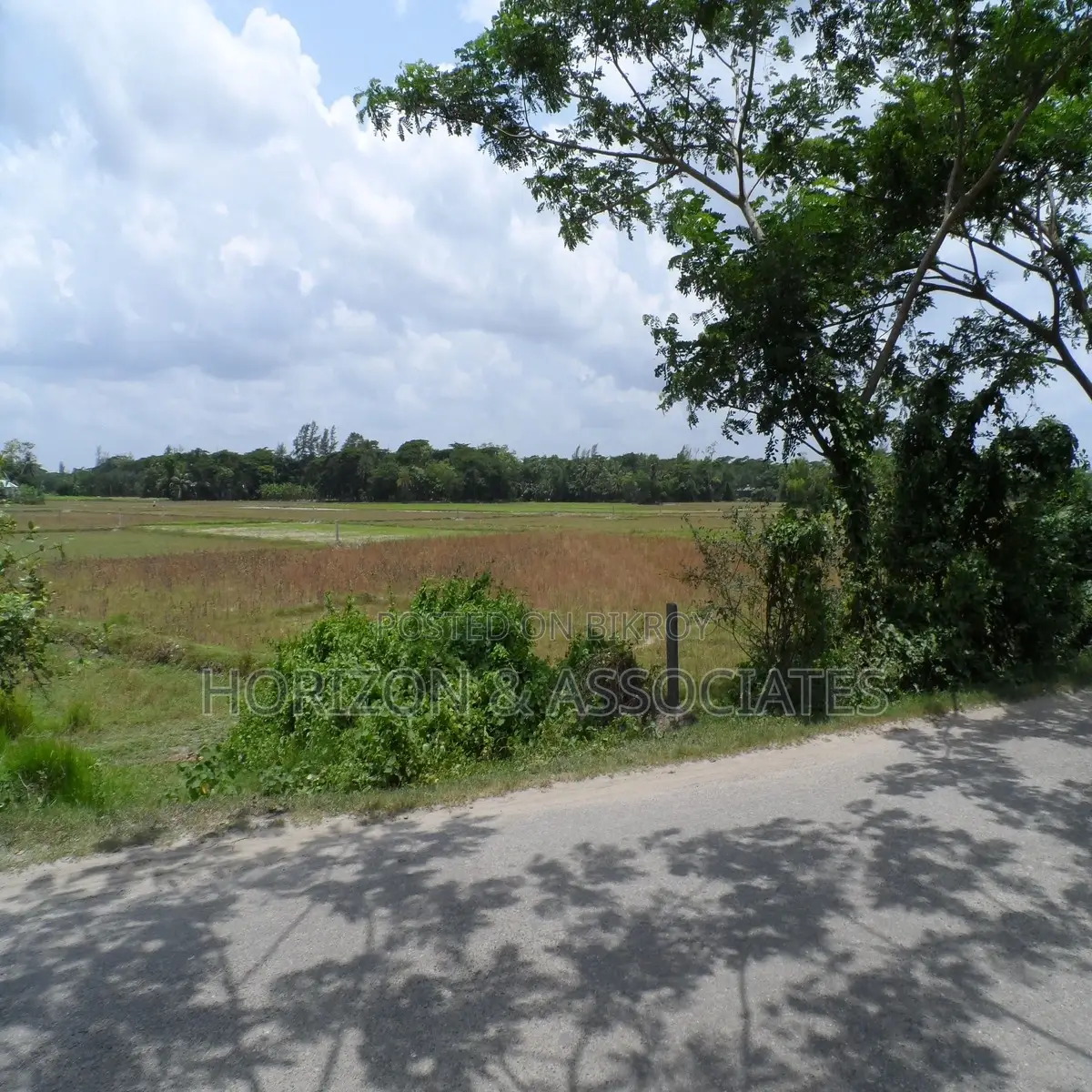 ২৭৫ শতাংশ জমি বিক্রয় নোয়াখালী মাইজদী রোড