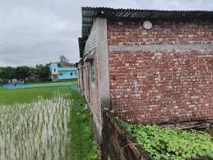 বাড়ি বিক্রি করা হইবে মট জমি পাচ শতক আসে জমি চার শতক ফুল বাড়ি আসে
