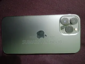 অ্যাপল আইফোন ১৩ প্রো ম্যাক্স ২৫৬ জিবি গ্রে