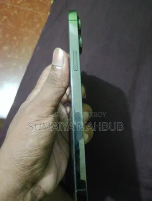 Apple iPhone 13 Pro Max 256 GB Gray
