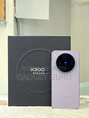 Vivo X300 512 GB Purple