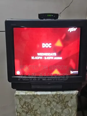 Sony 24 Inch Color Television