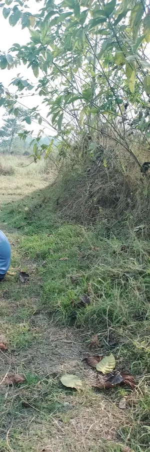 জমি বিক্রি হবে