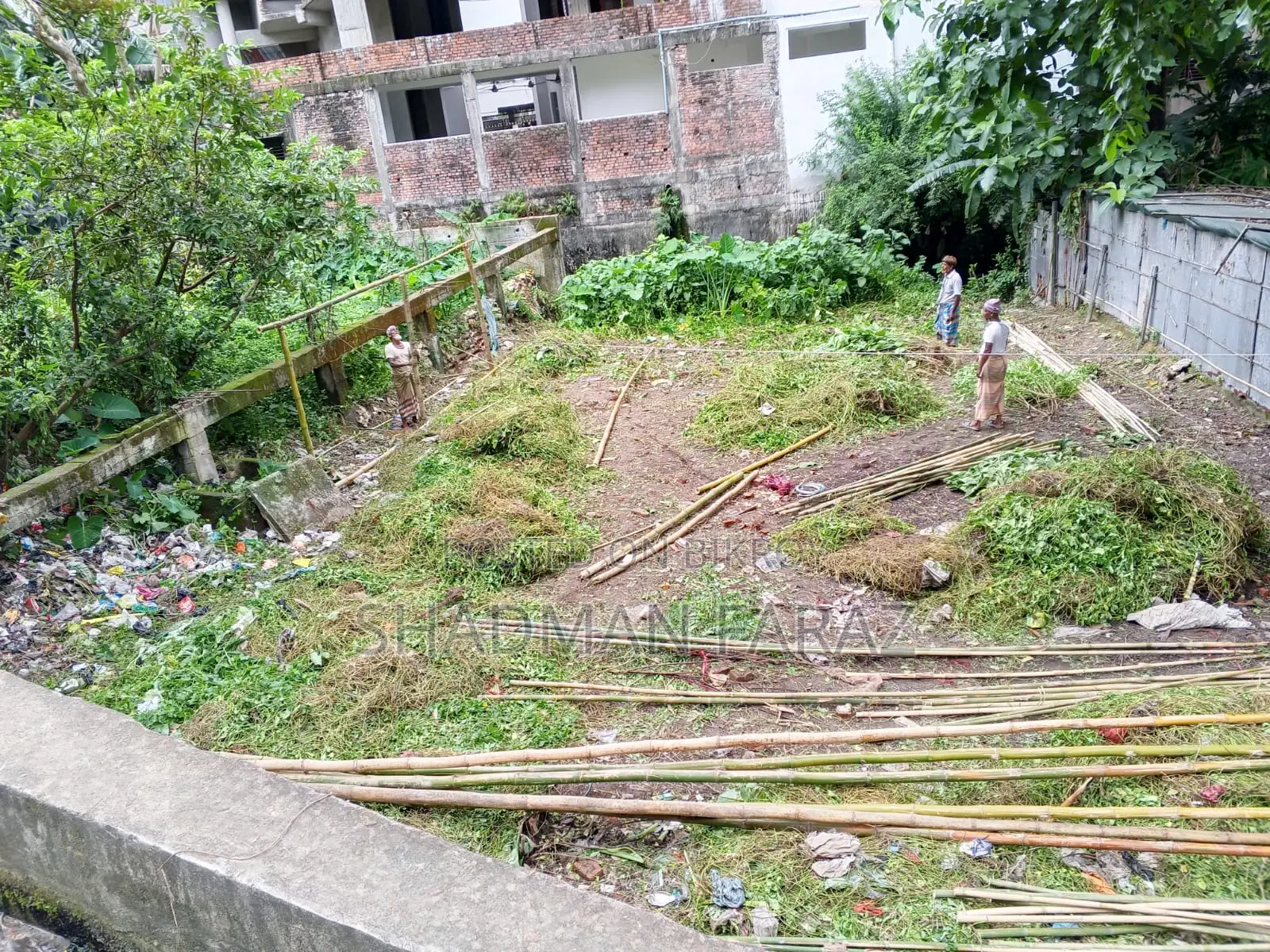 ল্যান্ড শেয়ার