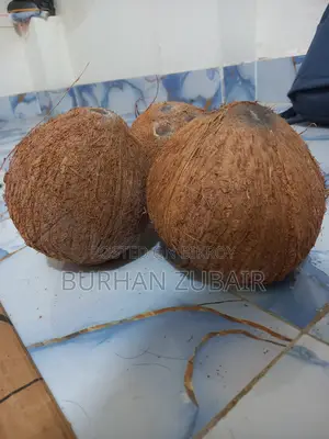 বড় নারিকেল