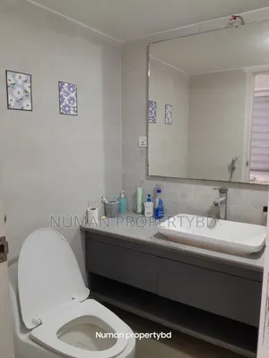 Furnished 3-Bedroom Apartment in Numan Property Bd, Bashundhara for Rent