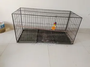 বড পাখির খাচা