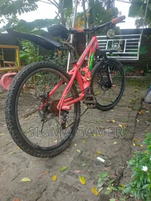 ৭টি গিয়ার সহ ভেলোচে জুনিয়র বাইসাইকেল