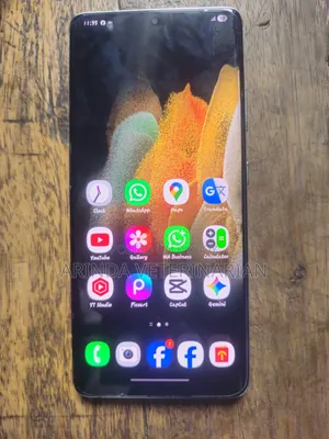 Samsung Galaxy S21 Ultra 5G 256 GB Gray
