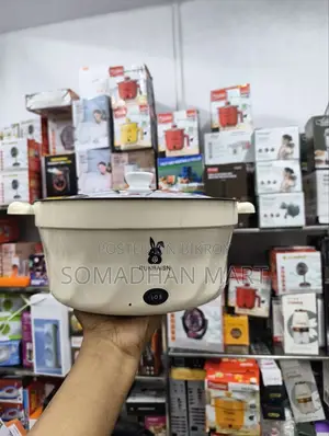 5.5L Runbaisen Multi-Purpose Electric Cooking Pot