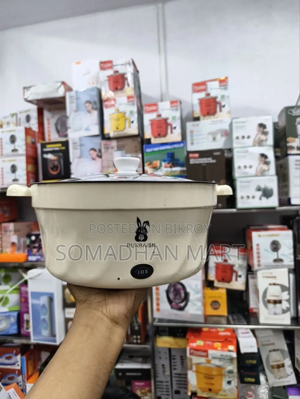 5.5L Runbaisen Multi-Purpose Electric Cooking Pot