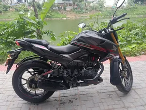 নিউ হোন্ডা হর্নেট ২০২৫ গ্রে