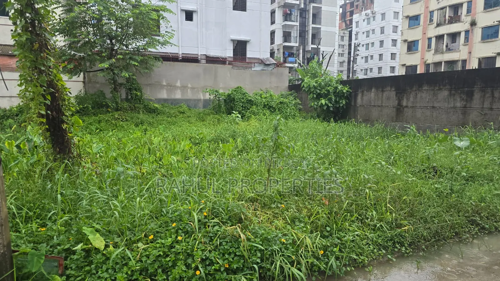 Land for Sale in Block-G ( Bashundhara R/a )