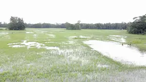 সোনাইমুড়ি বাইপাস রোডে বাণিজ্যিক ভবন বিক্রয়