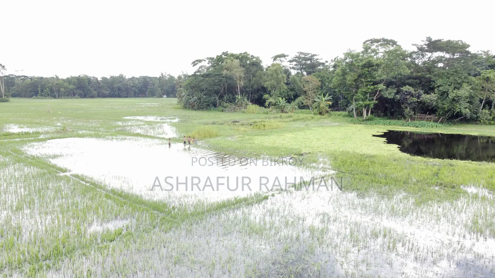 Commercial Building for Sale on Sonaimuri Bypass Road