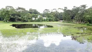 Commercial Building for Sale on Sonaimuri Bypass Road