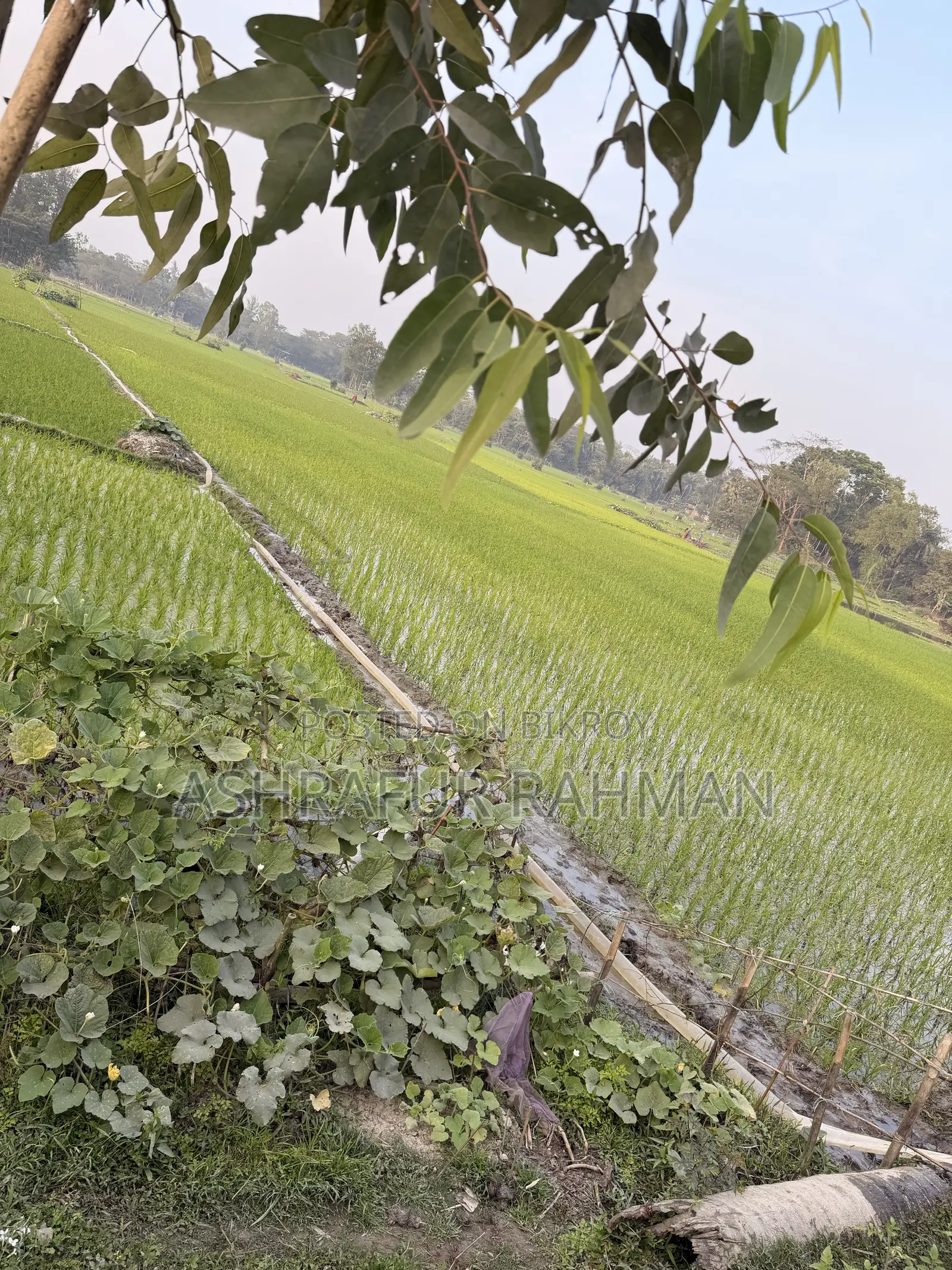 Commercial Building for Sale on Sonaimuri Bypass Road
