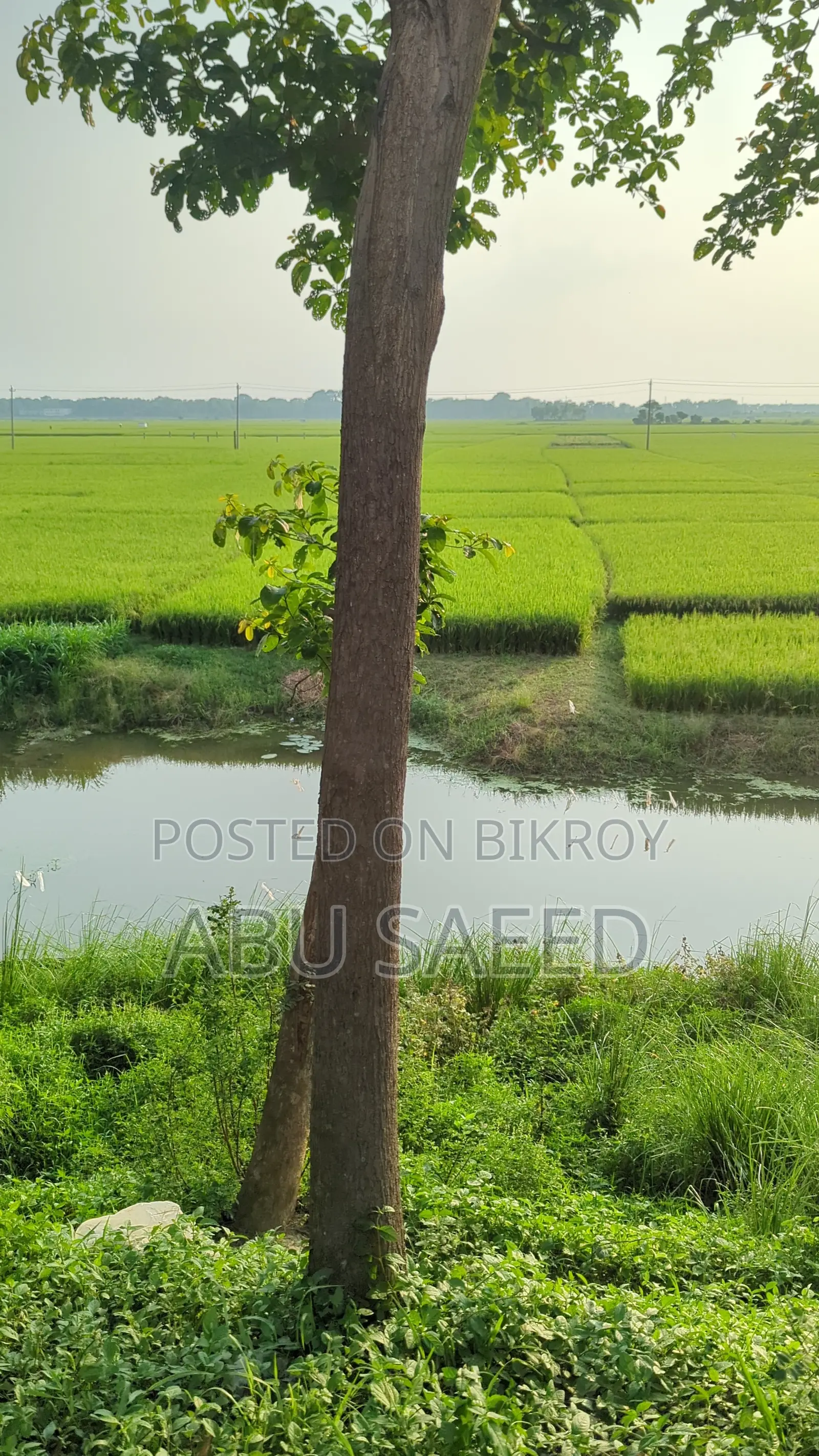 3-Bedroom Farm House in Savar for Sale