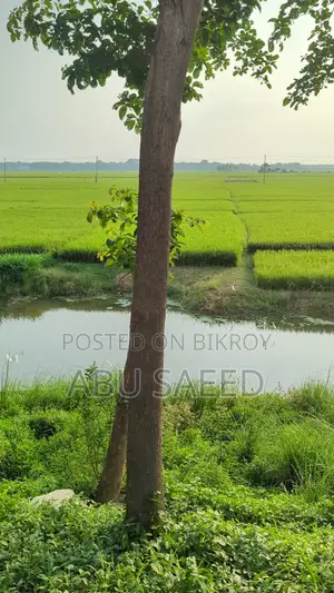 3-Bedroom Farm House in Savar for Sale