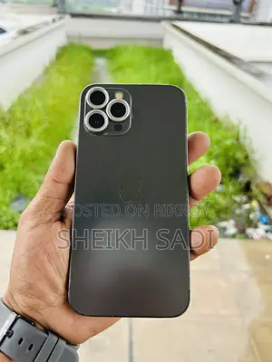 অ্যাপল আইফোন ১২ প্রো ম্যাক্স ২৫৬ জিবি গ্রে