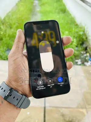 অ্যাপল আইফোন ১২ প্রো ম্যাক্স ২৫৬ জিবি গ্রে